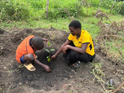 A parent and student plant a jackfruit tree on the school compound.
