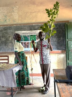 Community plant experts demonstrate the importance of forest fibers during the school program.