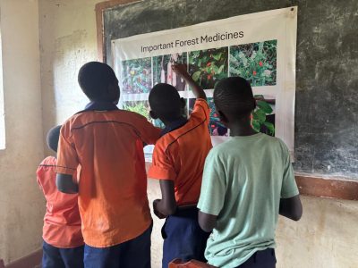 Students identify favorite forest medicines.