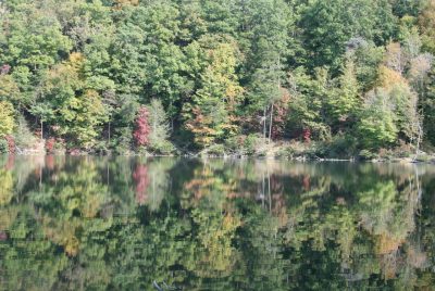 Trees with fall foliage along the shore of a lake.