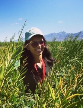 Dr. Prashasti Agarwal