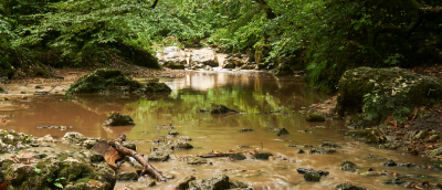 Hotchkiss awarded NSF funding to examine the consequences of warming in streams