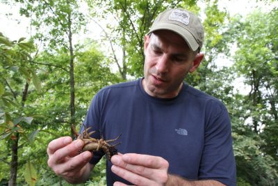 Brown’s aquatic invertebrate research will contribute to a watershed restoration model