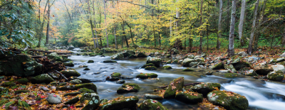 Stream Ecology Course offered in Spring 2018