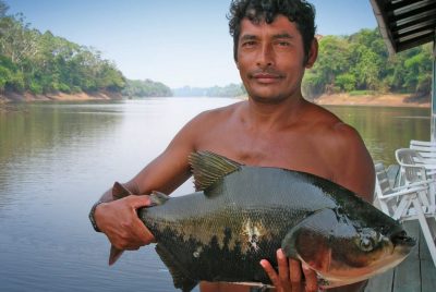 New research explores links between deforestation and fisheries yields in the Amazon