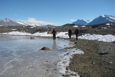 Extreme melt restructured invertebrate ecosystem in Antarctica