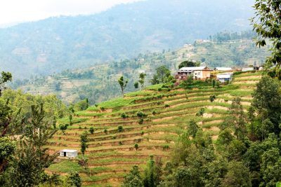 Program prepares farming communities in Nepal for impacts of a changing climate