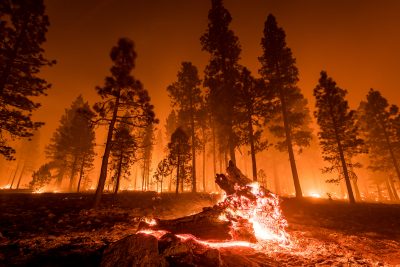 See how a warmer world primed California for large fires- from National Geographic