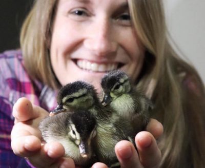 Sydney Hope recaps her avian research abroad in Villiers-en-Bois, France
