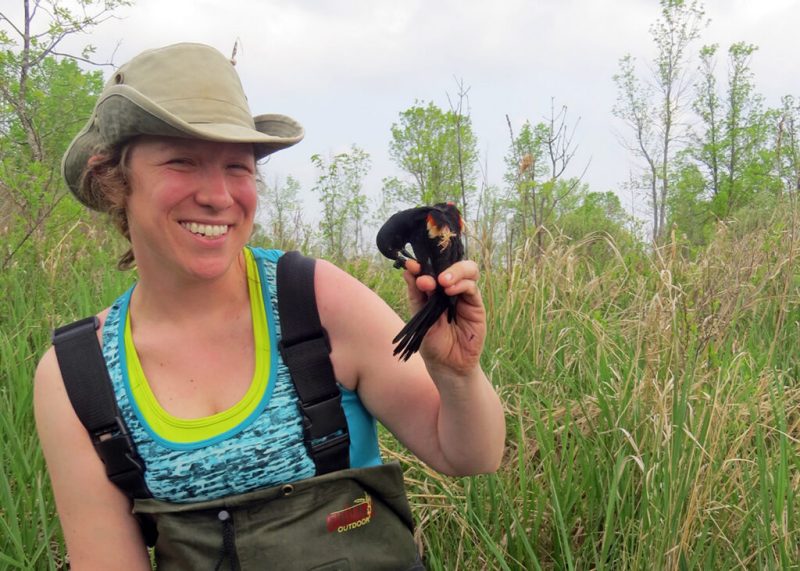 Laura admiring a red-winged blackbird during a field survey in 2015 at the Queen’s University Biological Station.