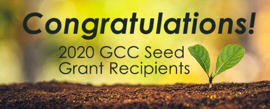 Five teams awarded GCC seed grants in fall 2020