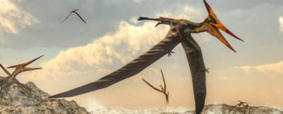 Virginia Tech paleontologists find pterosaur precursors that fill a gap in early evolutionary history