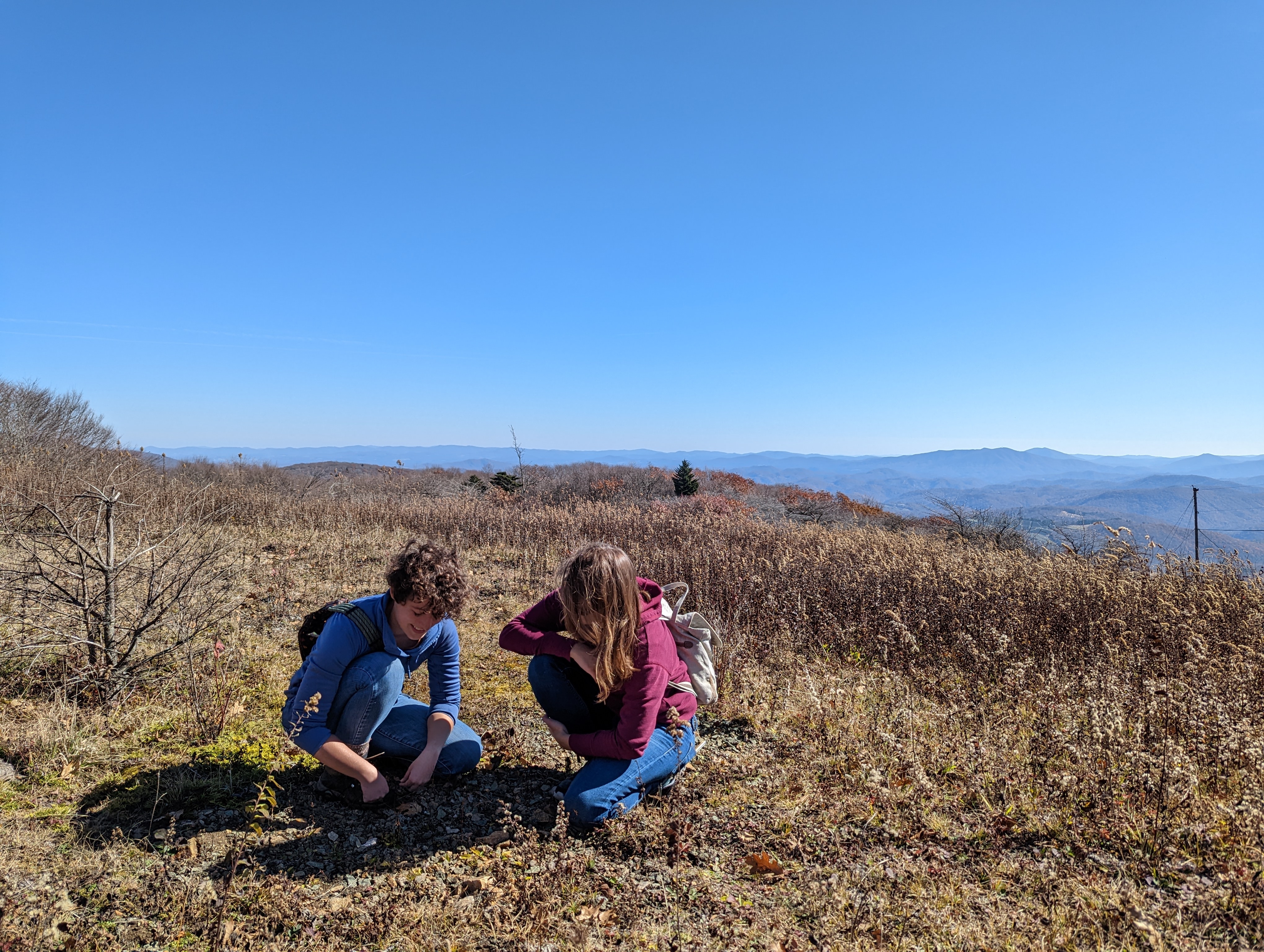 Interfaces of Global Change PhD Fellow Jordan Coscia and undergraduate student Rachel Smith botanizing on Whitetop Mountain. 