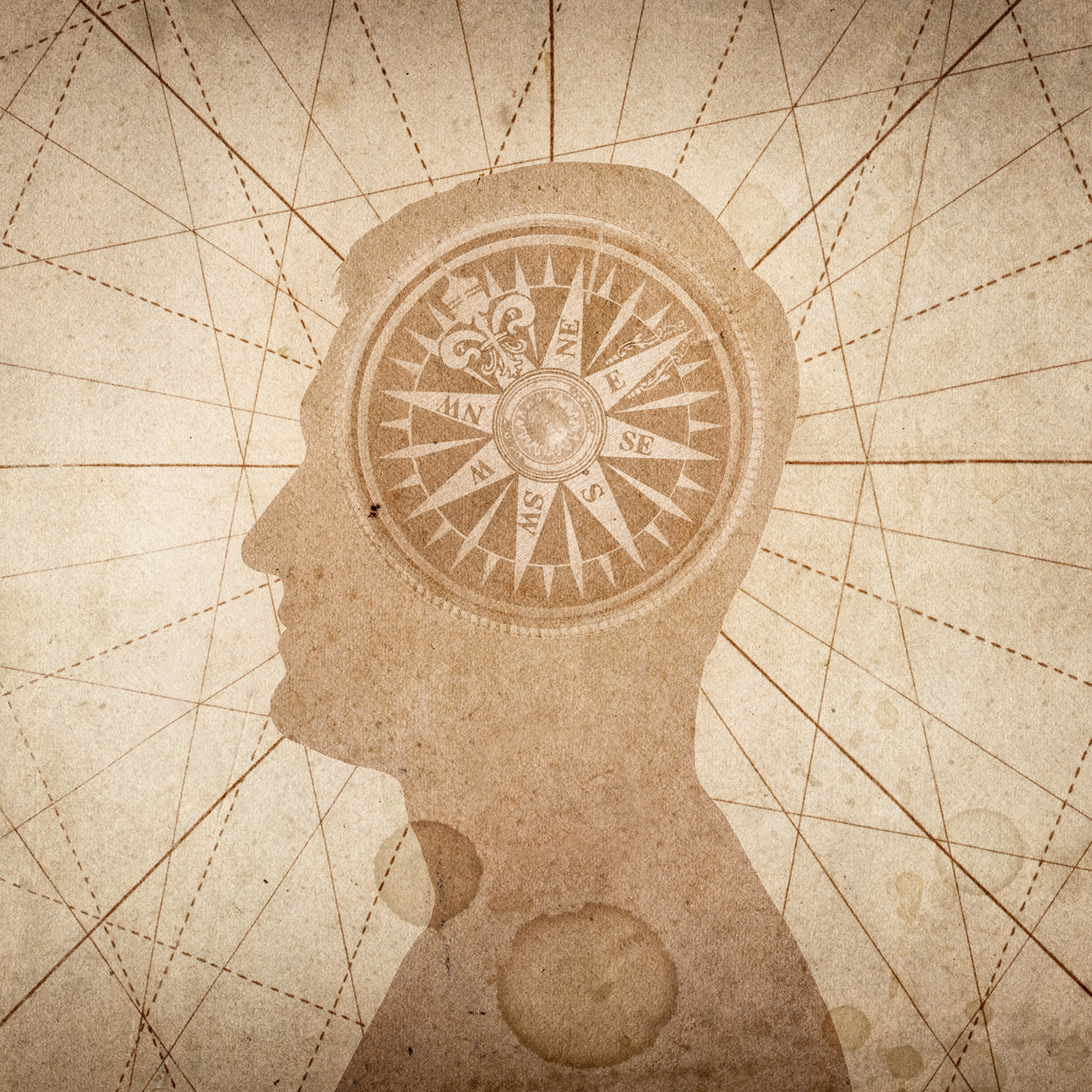 Compass for head space