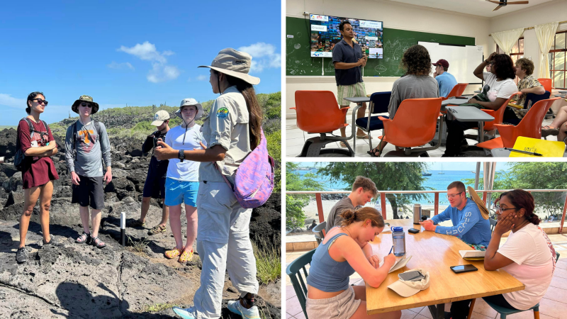 Collage of images from Galápagos trip