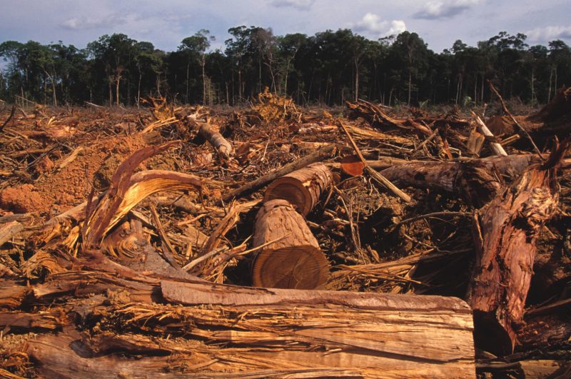 Figure 3: Deforestation	