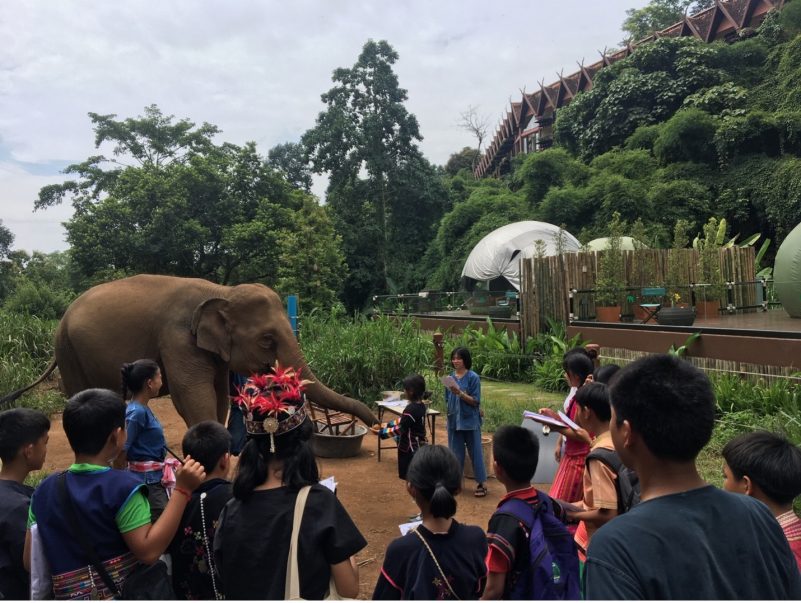Hands-on outreach activity demonstrating an elephant food preference experiment 