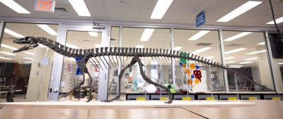 University Libraries Prototyping Studio Resurrects Dinosaur Cousin Skeletons