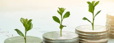 Spring 2025 Dates & Deadlines