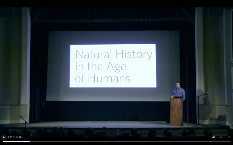 Screenshot of the lecture recording - when clicked open the full lecture to view.