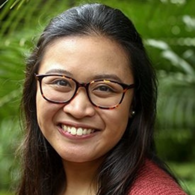IGC Fellow