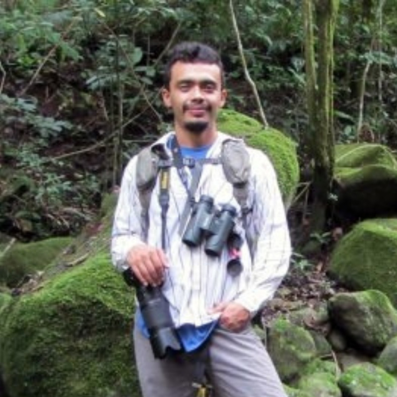 IGC Fellow