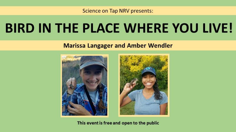 Flyer Image