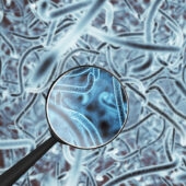 Applied Microbiology and the Microbiome
