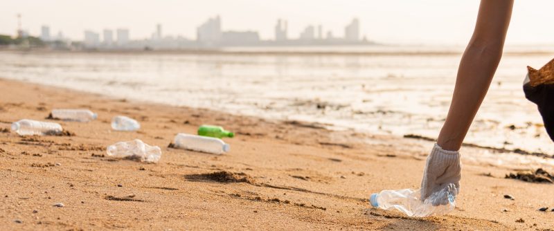 Beach Clean Up