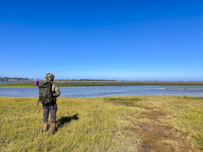 This is an image of the back of  Brandon Hatcher standing in a tidal marsh in Oregon.